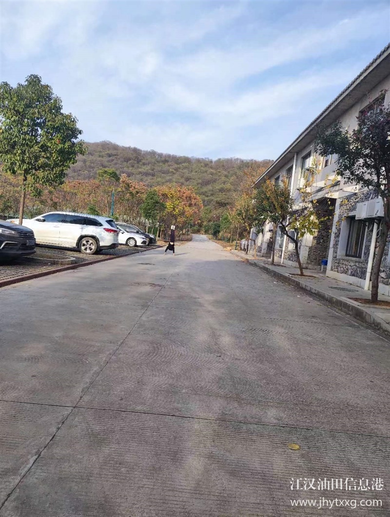 变成高富帅几种必要条件，传说武汉公司周边团建有诀窍