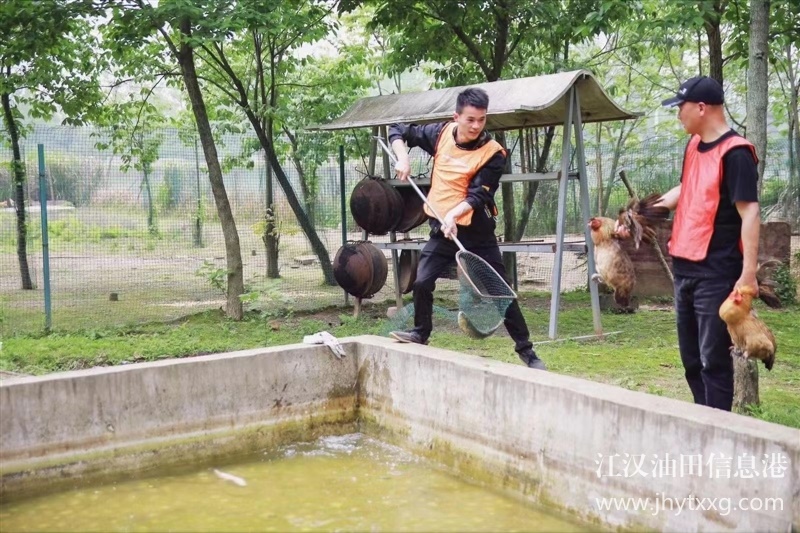 武汉公司团建一天的流程公开，玩法多多亮点多多性价比高