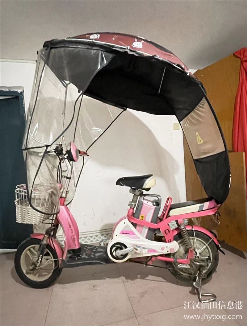 出售电动车