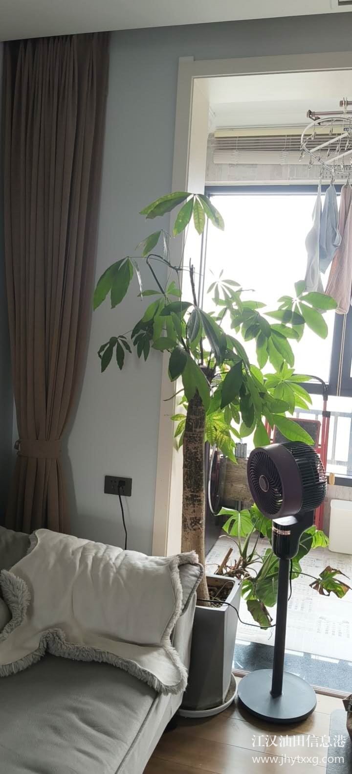 房屋售卖